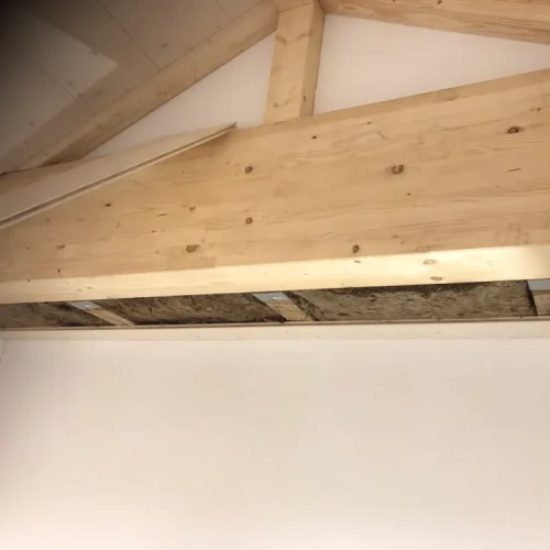 Hauptsache Holz - Holzbau (33)